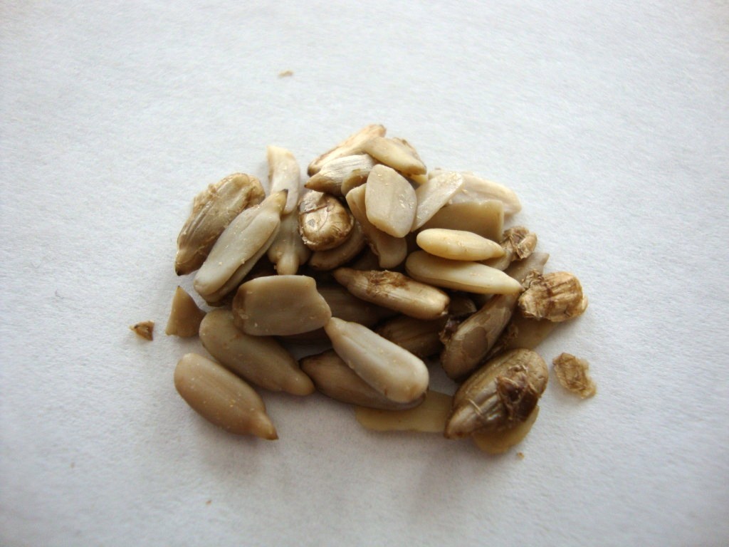 Click to Buy Go Raw Sprouted Sunflower Seeds