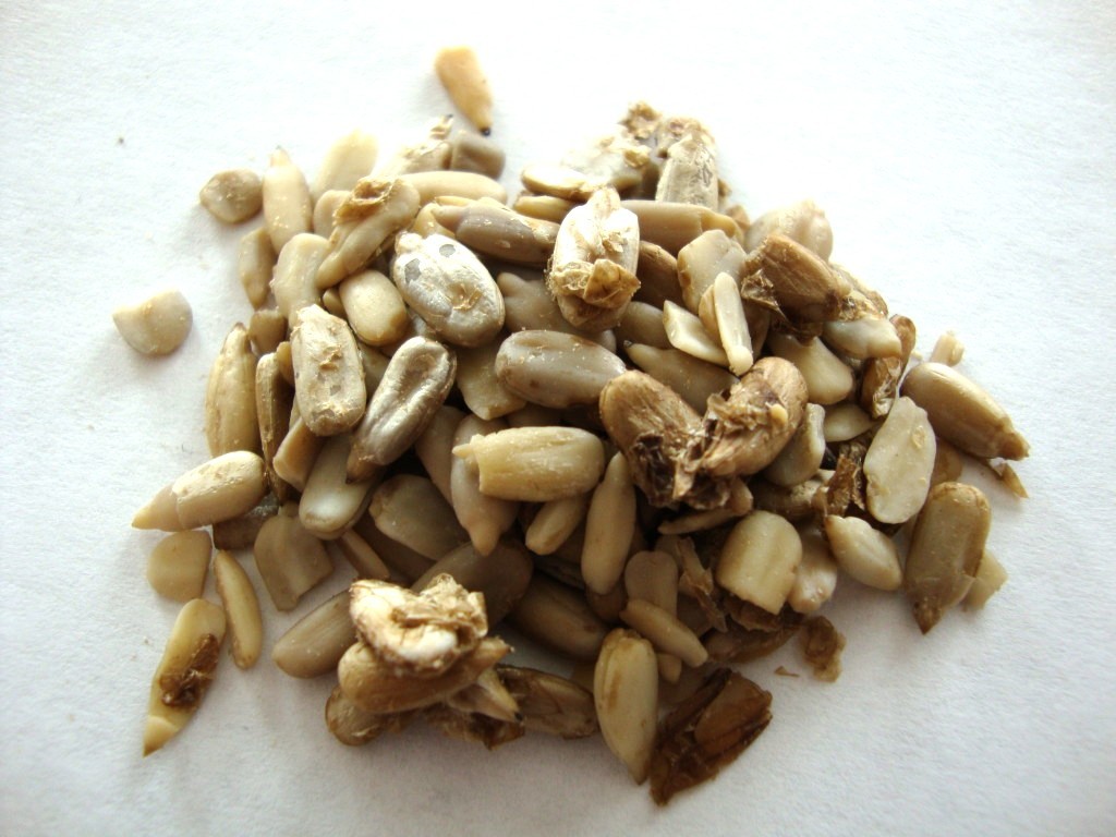 Click to Buy Go Raw Sprouted Sunflower Seeds