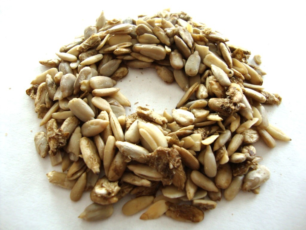 Click to Buy Go Raw Sprouted Sunflower Seeds