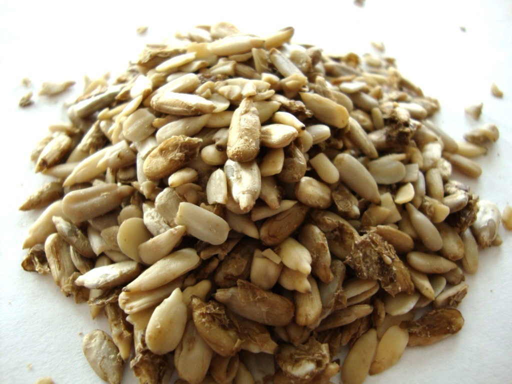 Click to Buy Go Raw Sprouted Sunflower Seeds