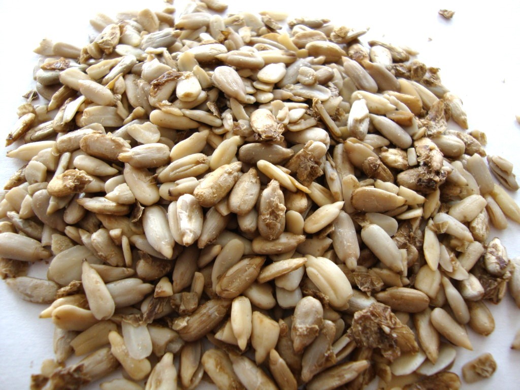 Click to Buy Go Raw Sprouted Sunflower Seeds