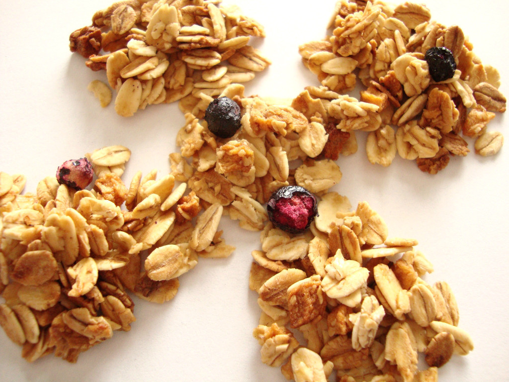 Click to Buy Back to Nature Apple Blueberry Granola