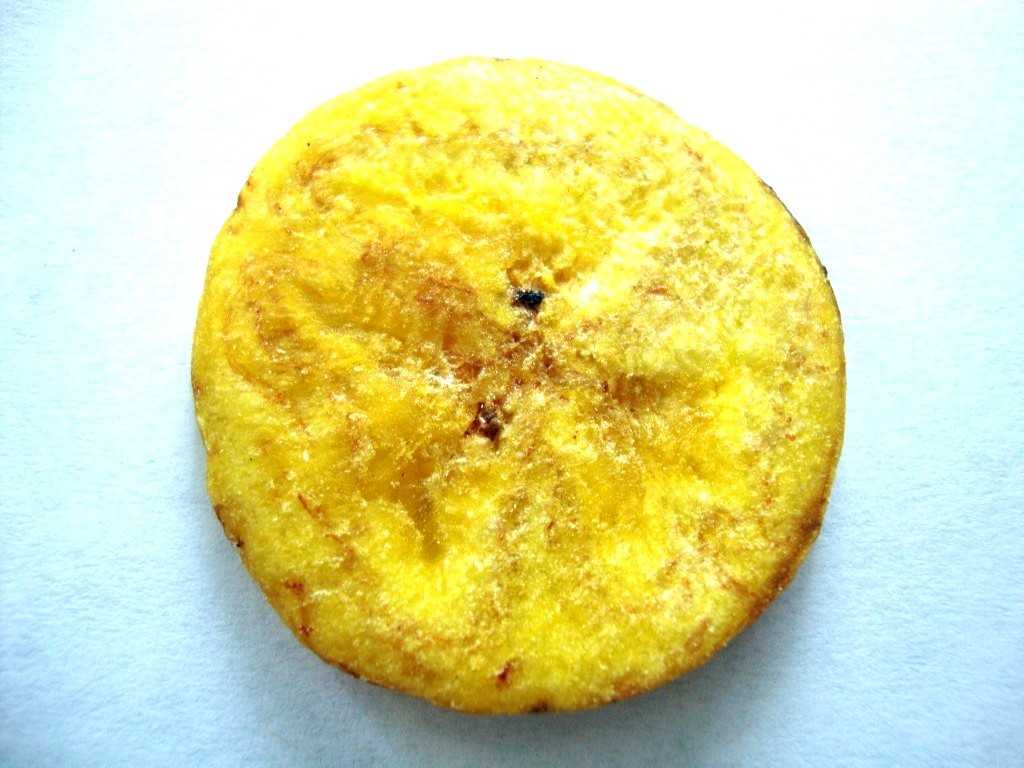 Click to Buy Inka Plantain Chips