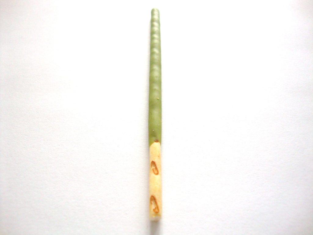 Click to Buy Pocky Matcha Green Tea Cream Covered Biscuit Sticks