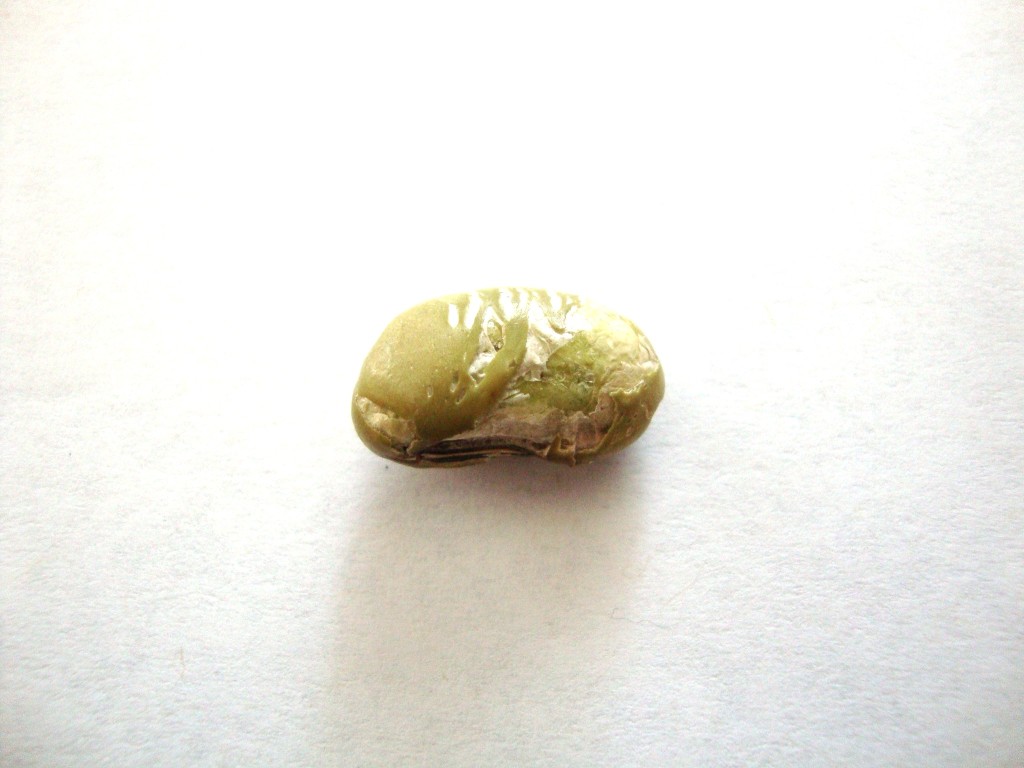 Click to Buy Seapoint Farms Lightly Salted Dry Roasted Edamame